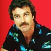 Tom Selleck paint by number