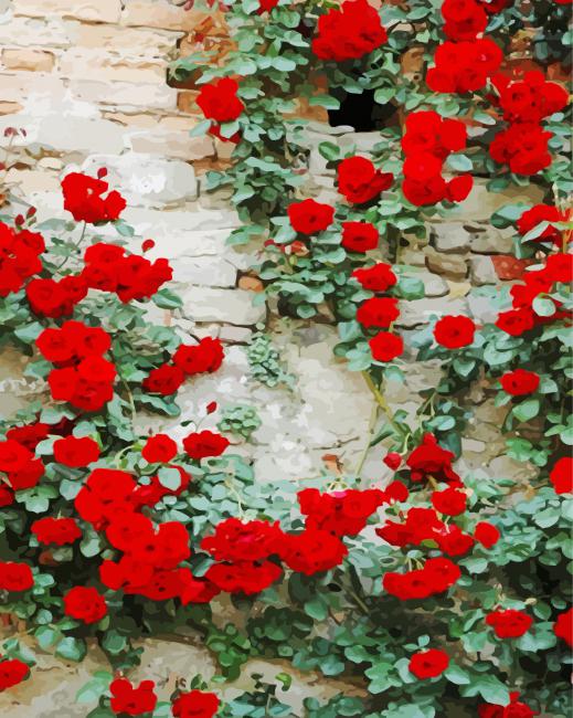 Wall Of Red Roses paint by number