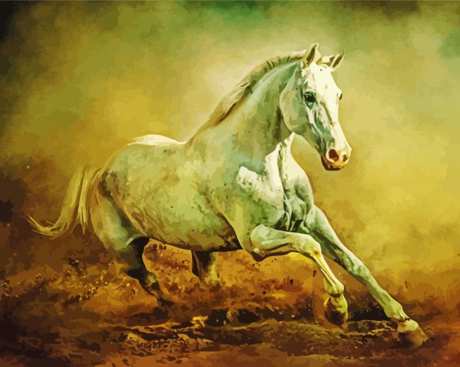 White Arabian Horse Running paint by number