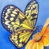 Yellow Monarch Butterfly And Flower paint by number