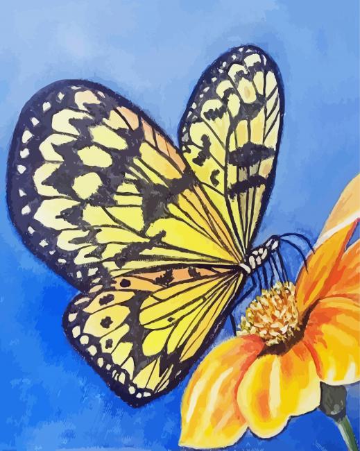 Yellow Monarch Butterfly And Flower paint by number