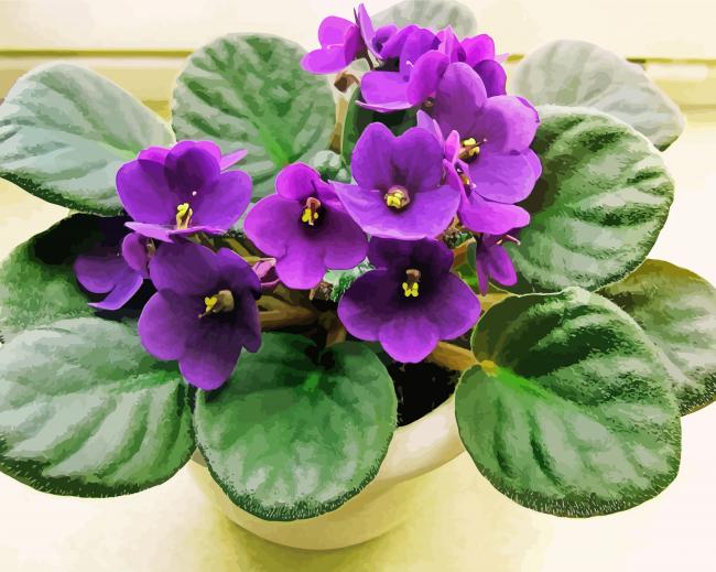 African Violet Flowers paint by number
