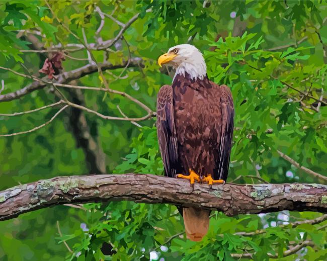 Beautiful Eagle On A Branch paint by number