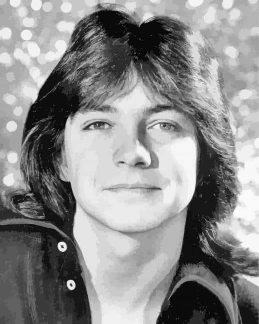 Black And White David Cassidy paint by number