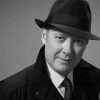 Black And White Raymond Reddington paint by number