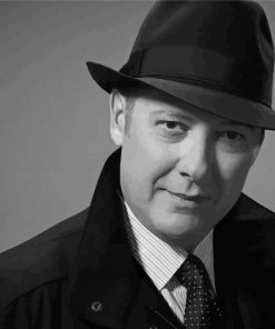 Black And White Raymond Reddington paint by number