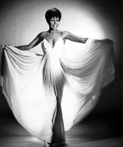 Black And White Diahann Carroll paint by number