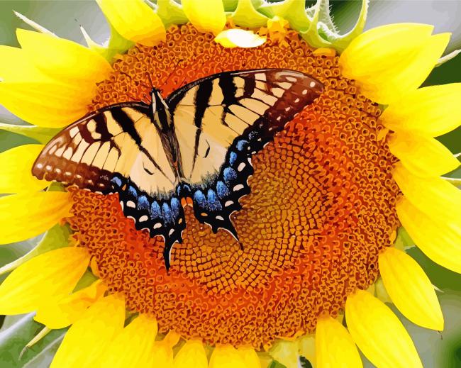 Butterfly With Sunflower paint by number