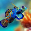 Colorful Cute Fish paint by number