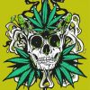 Eaves Weed Skull paint by number