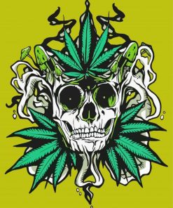 Eaves Weed Skull paint by number