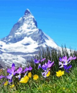 Flowers And Mountains In Switzerland paint by number