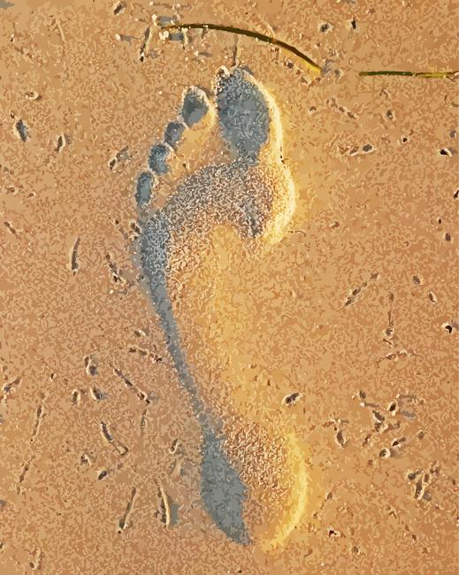 Footprint Sand Beach paint by number