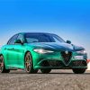 Green Giulia paint by number