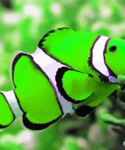 Green And White Elegant Fish paint by number