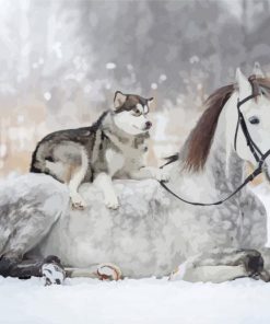 Horse And Husky Dog paint by number
