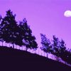 Moon Purple Night paint by number