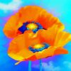 Orange Poppies Art paint by number
