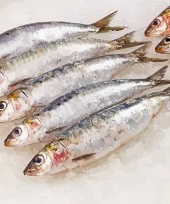 Sardine Fish paint by number