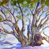 Snow Gums Trees Art paint by number