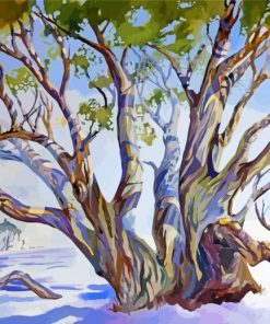 Snow Gums Trees Art paint by number