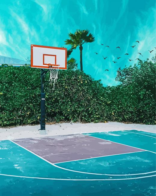 Sport Basketball Court paint by number