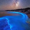Starry Night Glowing Algae paint by number