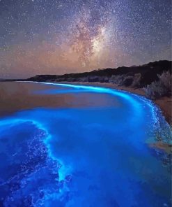 Starry Night Glowing Algae paint by number