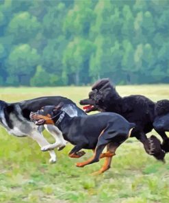 Three Dogs Running Fast Through An Open Field paint by number