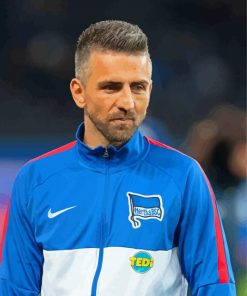 Vedad Ibisevic Footballer paint by number