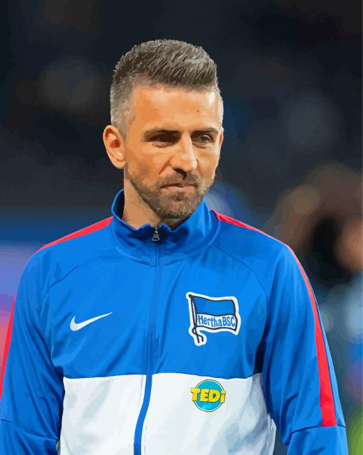 Vedad Ibisevic Footballer paint by number