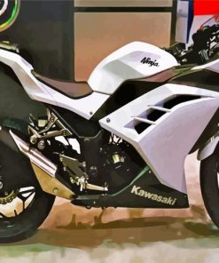 White Kawasaki Ninja paint by number