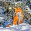 Winter Fox In Forest paint by number