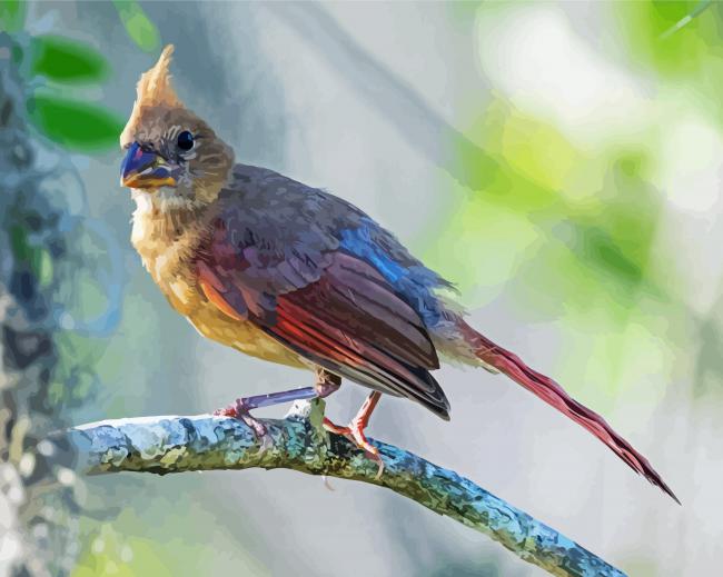 Aesthetic Juvenile Cardinal Paint By Numbers