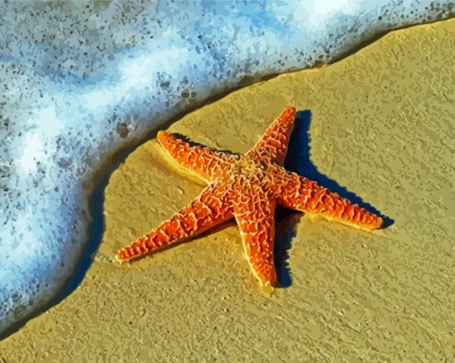 Aesthetic Sea Star Paint By Numbers
