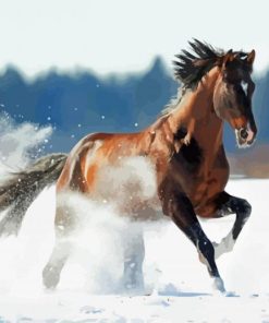 Aesthetic Winter Horse paint by number