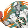 Aesthetic Miami Dolphins Paint By Numbers