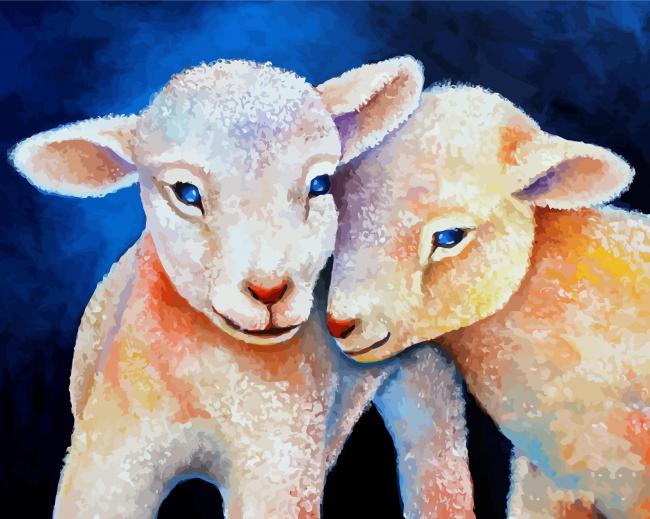 Baby Twins Lamb paint by number