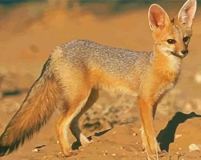 Cape Fox Paint By Number