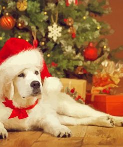 Christmas White Labrador paint by number