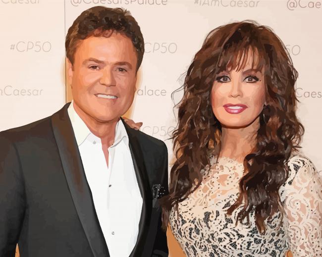 Donny And Marie Show paint by number