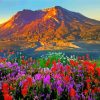 Flower Mountain Landscape paint by number