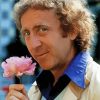 The Actor Gene Wilder Paint By Numbers
