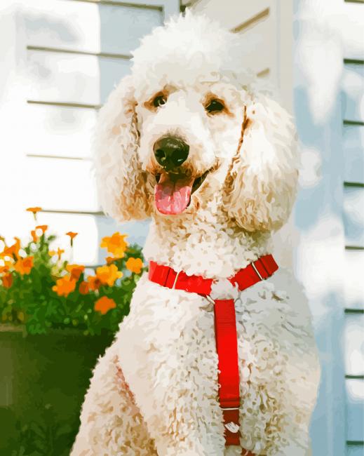Happy White Poodle paint by number