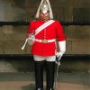 Household Cavalry Man Paint By Numbers