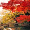 Japan Autumn Garden paint by number