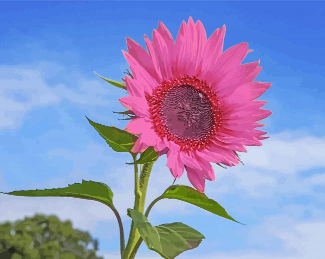 Pink Sunflower Paint By Numbers
