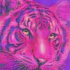 Pink Tiger Art Paint By Numbers