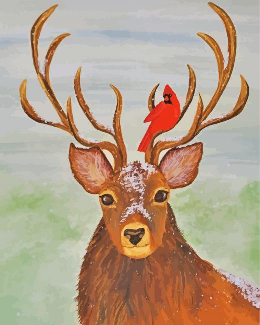 Red Cardinal Deer paint by number