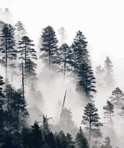 Trees In The Mist paint by number